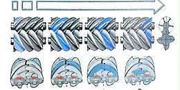 螺杆空压机主机工作原理！