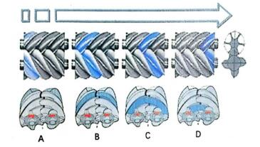 螺杆空压机工作原理